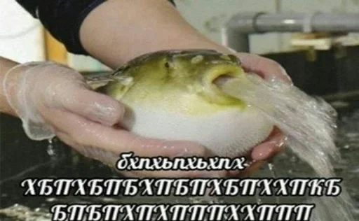 Петрушка, не дури by @fStikBot Петрушка, не дури by @fStikBot -