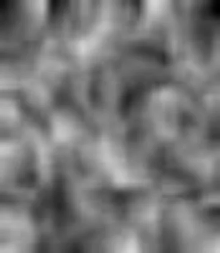 black and white black and white monochrome photography monochrome