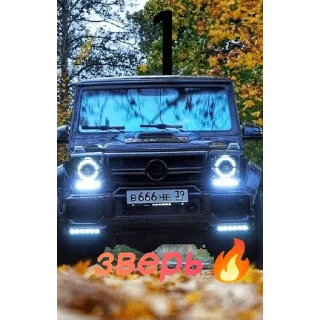 Стикер Паша Пэл, ТТ: pasha_pel_one_love_ - 3 Стикер Паша Пэл, ТТ: pasha_pel_one_love_ - 3