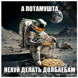 Sticker Патамушта - 2 Sticker Патамушта - 2