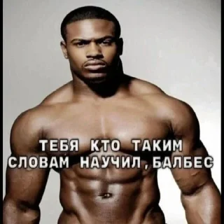 Стикер Paxan вещает - 4