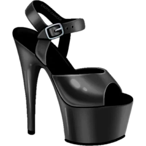 PayPiggy PayPiggy -