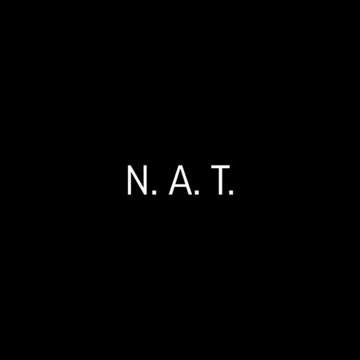 ПЧЕЛЫ by N.A.T. ПЧЕЛЫ by N.A.T. -
