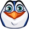 Penguin Kevin Penguin Kevin -