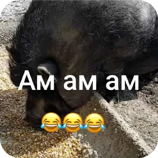 Sticker Щавель, Персик и их друзья  😂😂😂 свинстрой топ🤣🤣🤣 - 6