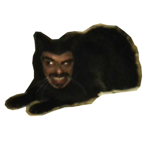Petyr's pack Petyr's pack - Человек