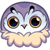 Phil Phil -