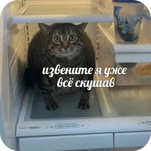 Пик4и Пик4и -