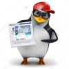 Pingvin Pack Memes Pingvin Pack Memes -