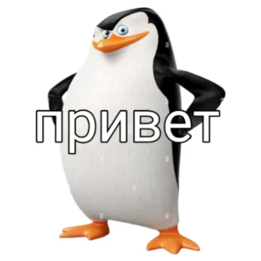Пингвин Тег Пингвин Тег -