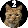 Pishi 2 - @Stickerabad Pishi 2 - @Stickerabad - кошки малого и среднего размера