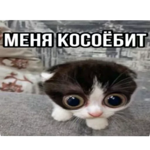 Пиздец какой то @tytyn_qq Пиздец какой то @tytyn_qq -