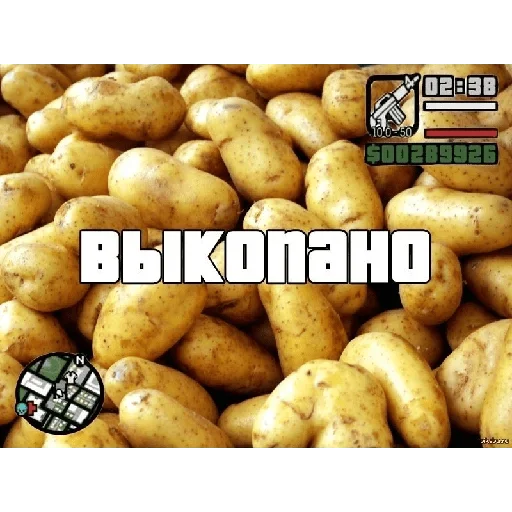 @StickersFuck1 @StickersFuck1 -