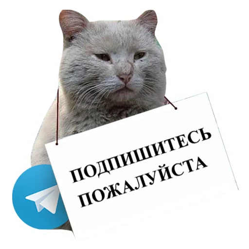 Подпишитесь плиз @podaiti
