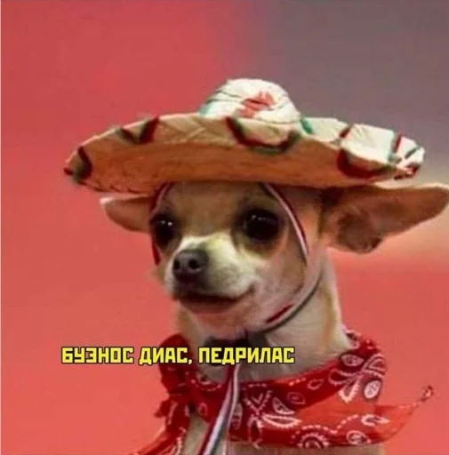 Подборка Барсука Подборка Барсука -