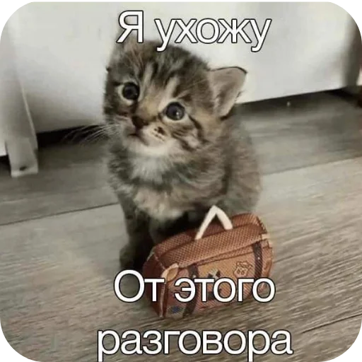 Поговорим Поговорим -