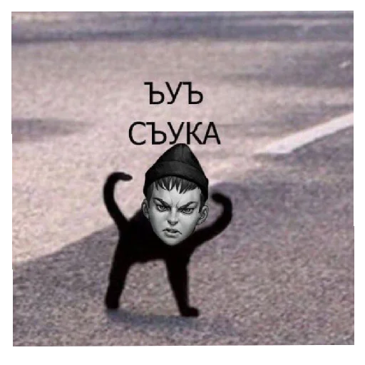 ПолКатери ПолКатери -