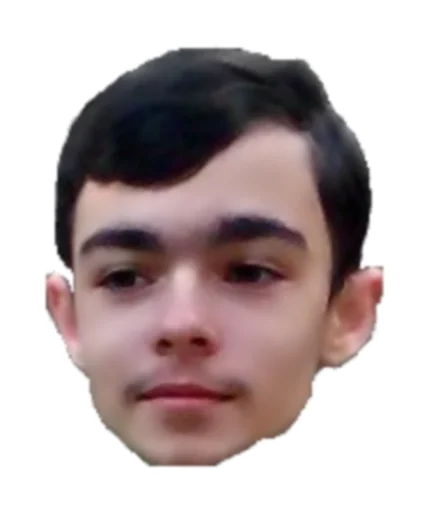 human face human face eyebrow forehead