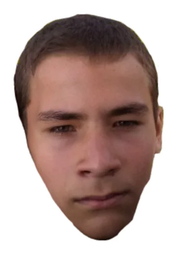 human face human face forehead man