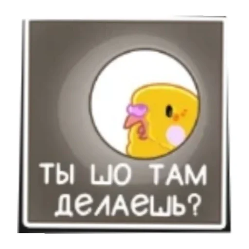 Попуга Попуга -