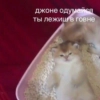 Кто добавил тот лох Кто добавил тот лох -