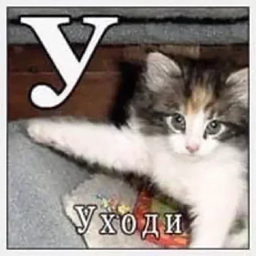 Лучьше стикеры - @lovesticers - 