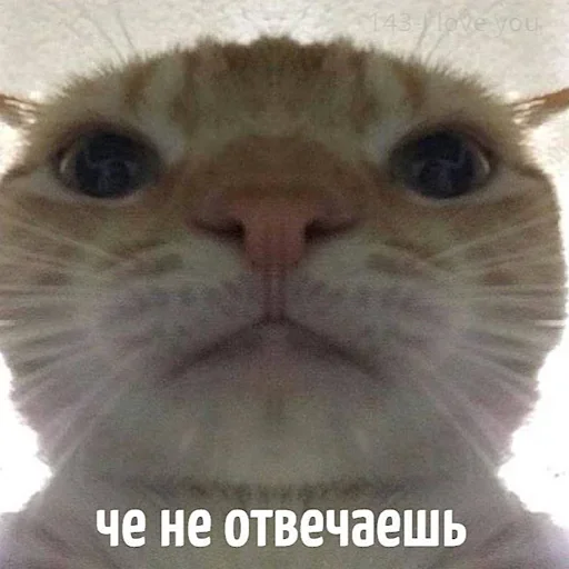 Больше стикеров: @sticerru Больше стикеров: @sticerru -