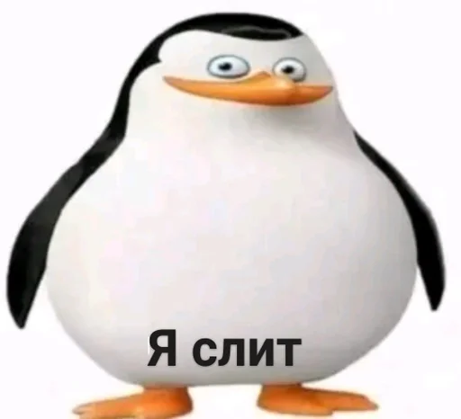 водная птица водная птица пингвин нелетающая птица
