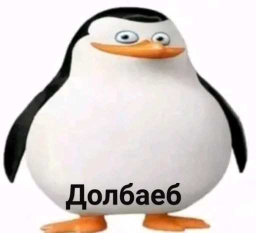 водная птица водная птица пингвин нелетающая птица