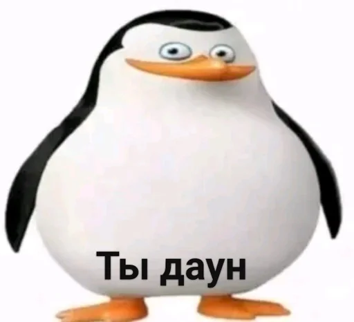 водная птица водная птица пингвин нелетающая птица