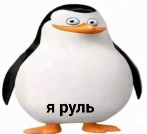 водная птица водная птица пингвин нелетающая птица