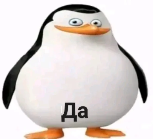 водная птица водная птица пингвин нелетающая птица