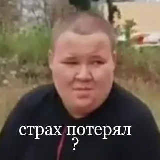 Sticker Президент Антарктиды - 2 Sticker Президент Антарктиды - 2