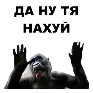 Sticker Приколы - 8