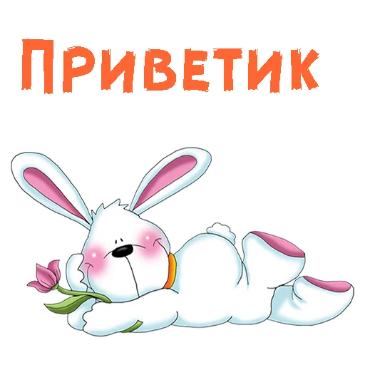 text text bunny animal