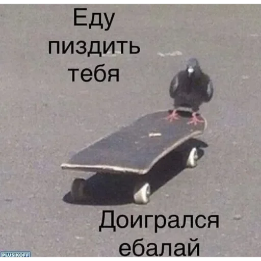 Пролд Пролд -