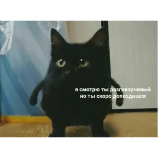 Стикер Проо - 4 Стикер Проо - 4