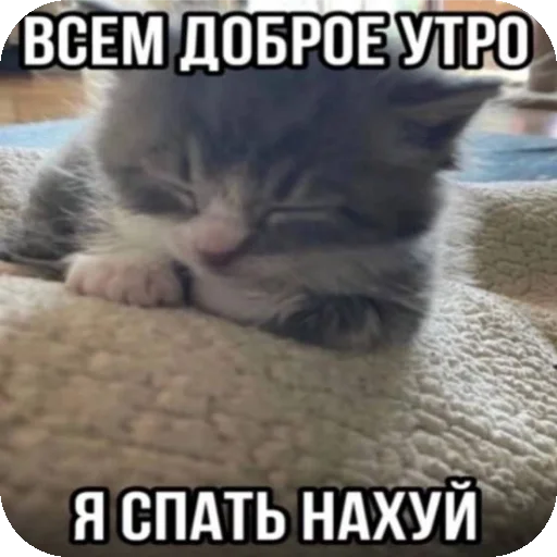 Психопаты Психопаты -