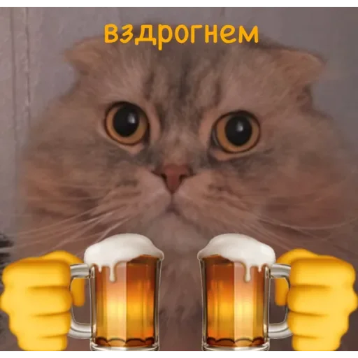 ✨ Пух ✨ ✨ Пух ✨ -