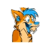 Pumpkin Fox Pumpkin Fox -