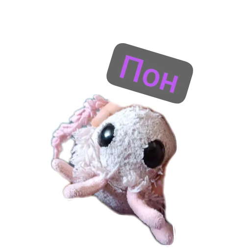 Пушина пон Пушина пон -