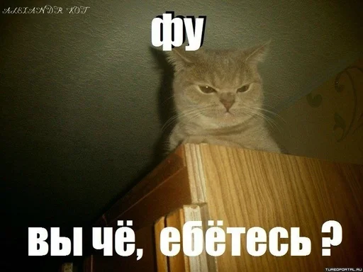 Кинь жопу :: @fStikBot Кинь жопу :: @fStikBot -