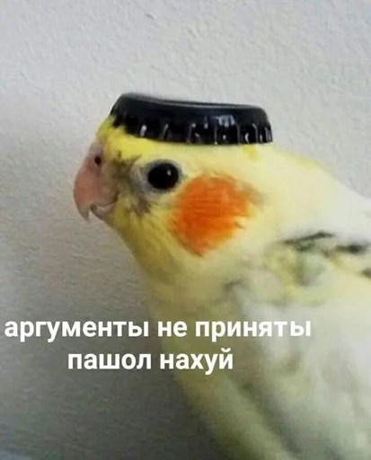 Стики от Вики♡ Стики от Вики♡ - animal