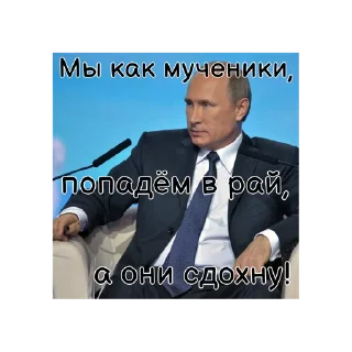 Стикер Путин КРАШ❤️ - 2