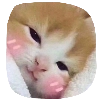 ..... ..... -