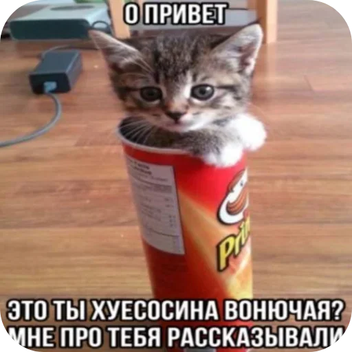 Больше стиков тут: @stikery4 Больше стиков тут: @stikery4 -