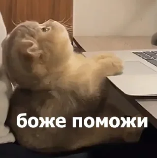 Стикер Больше стикеров 👉🏻 @stickertg4 - 5 Стикер Больше стикеров 👉🏻 @stickertg4 - 5