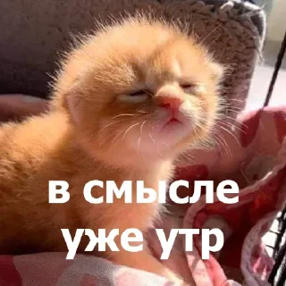 Стикер Больше стикеров 👉🏻 @stickertg4 - 7 Стикер Больше стикеров 👉🏻 @stickertg4 - 7