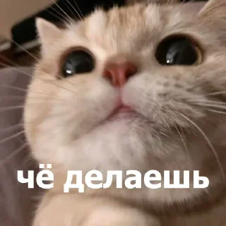 Стикер Больше стикеров 👉🏻 @stickertg4 - 8 Стикер Больше стикеров 👉🏻 @stickertg4 - 8