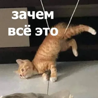 Стикер Больше стикеров 👉🏻 @stickertg4 - 11 Стикер Больше стикеров 👉🏻 @stickertg4 - 11